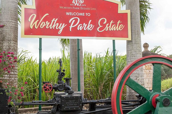 Worthy Park Estate Rum Private Tour - Image 3