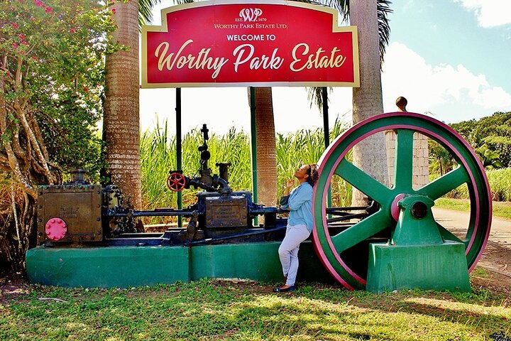 Worthy Park Estate Rum Private Tour - Image 4