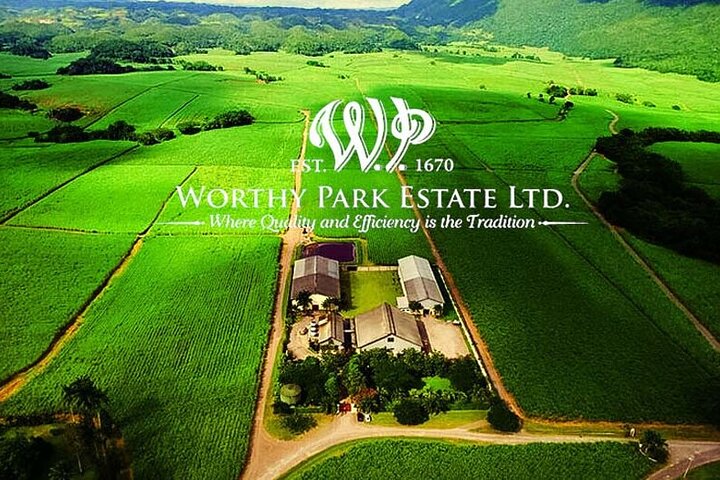 Worthy Park Estate Rum Private Tour - Image 5