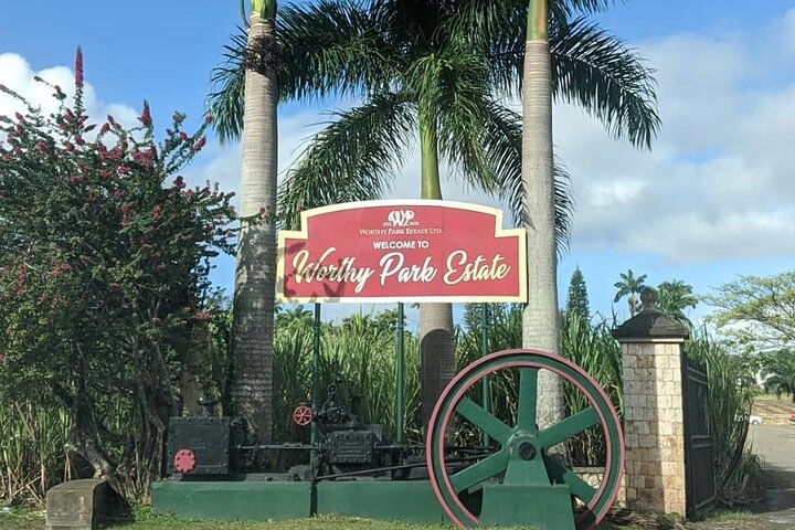 Worthy Park Estate Rum Tour from Ocho Rios - Image 1