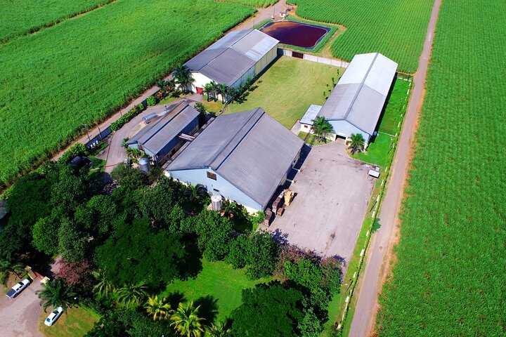 Worthy Park Estate Rum Tour from Ocho Rios - Image 2