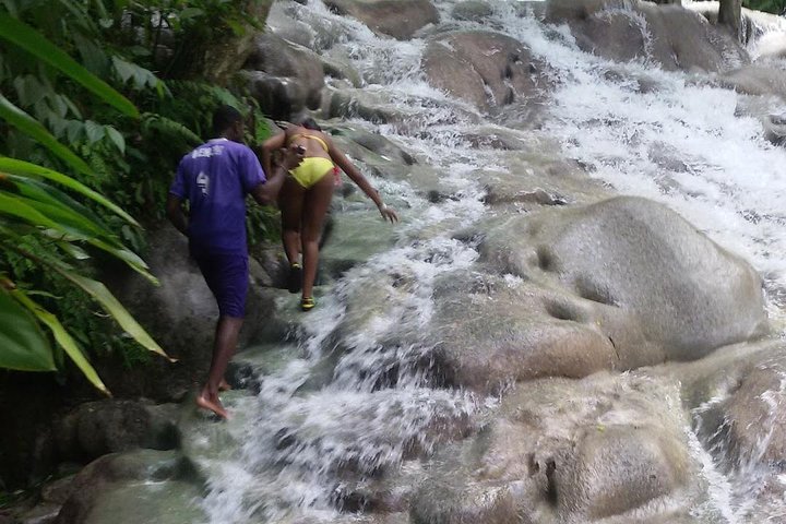 Zilpine Mystic - Dunn's River From Ocho Rios - Image 2