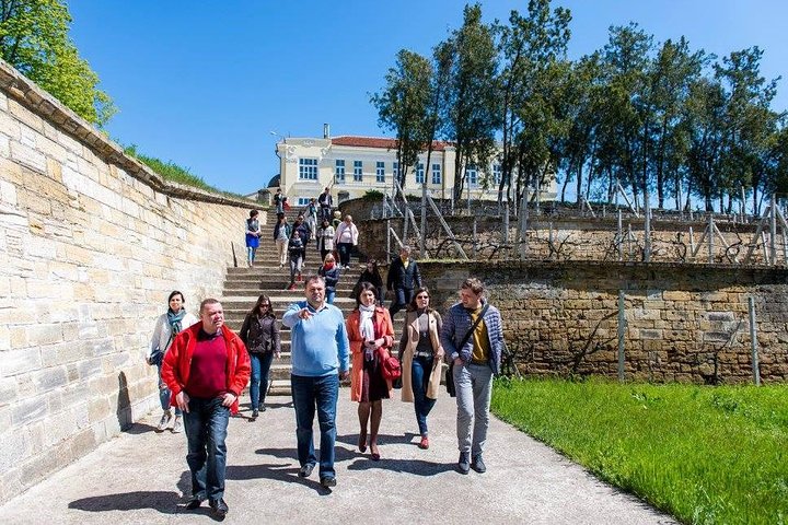 Tairov winery tour - Image 4
