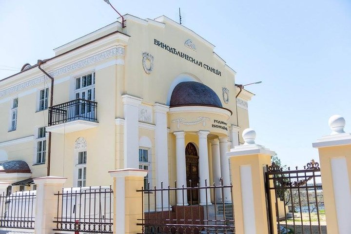 Tairov winery tour - Image 3