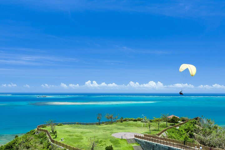 Port Pick-Up: Naha Private Tour Licensed Guide& Vehicle - Image 1