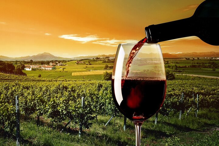 Wine & Food Tour in Sardinia : Small Group - Image 2