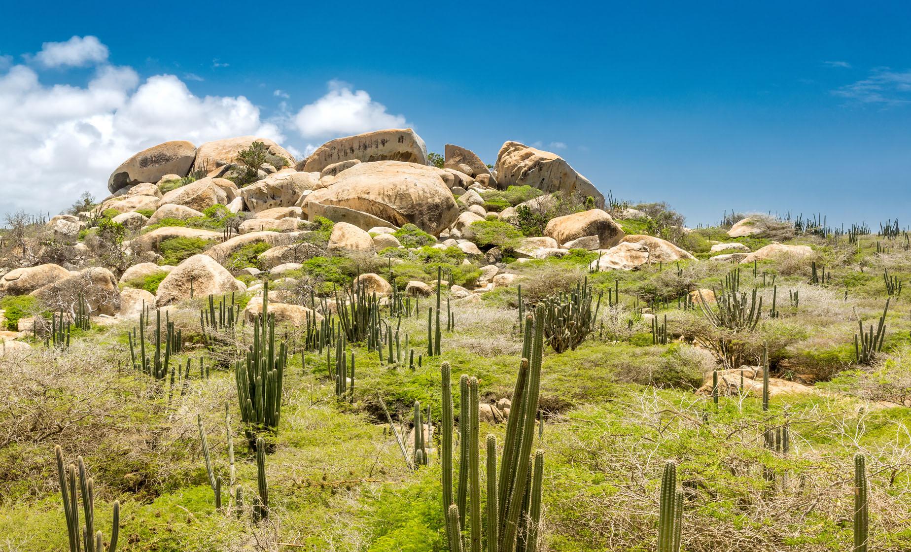 Explore Aruba Tour - Image 1