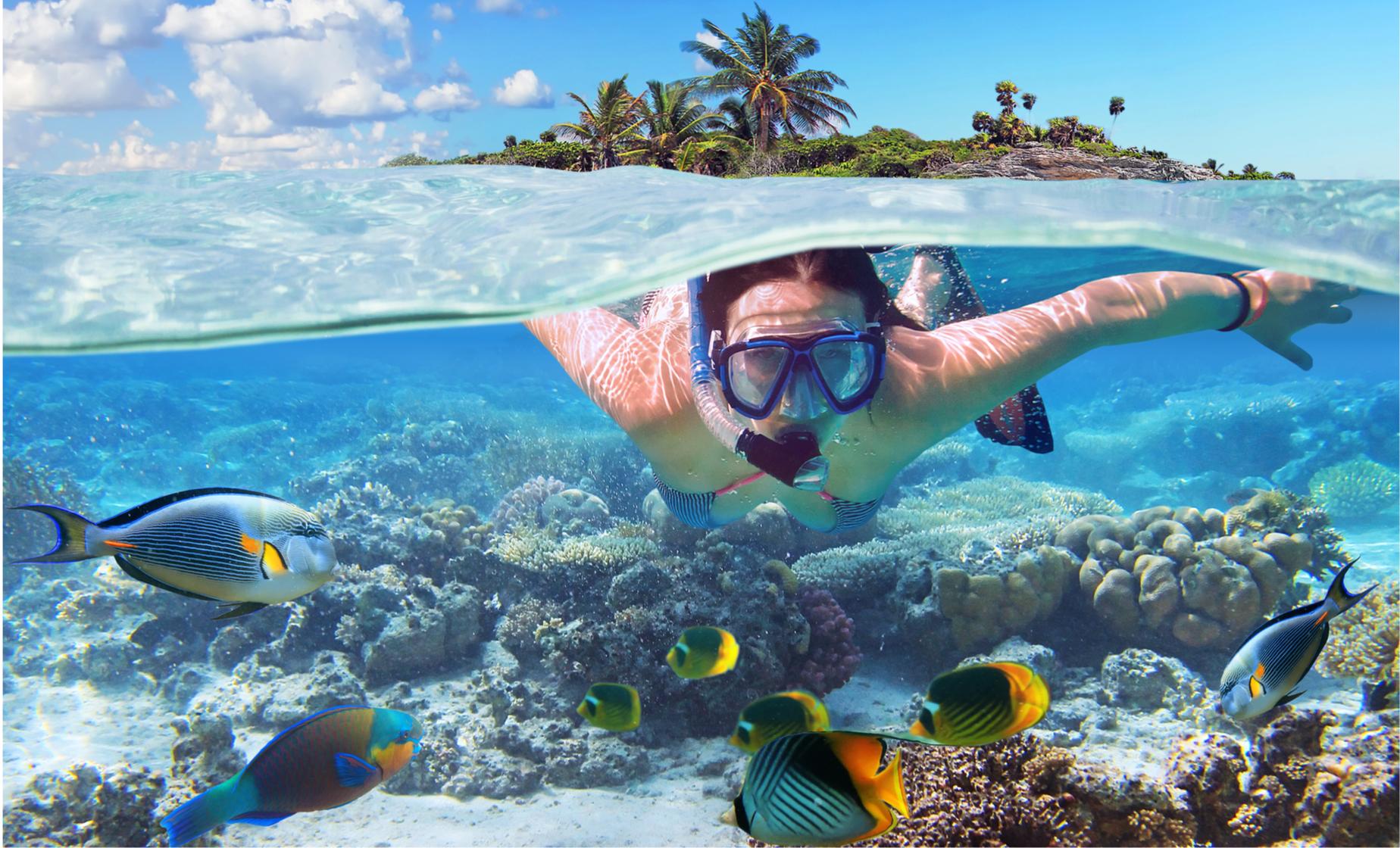 Private Snorkel Adventure - Image 1