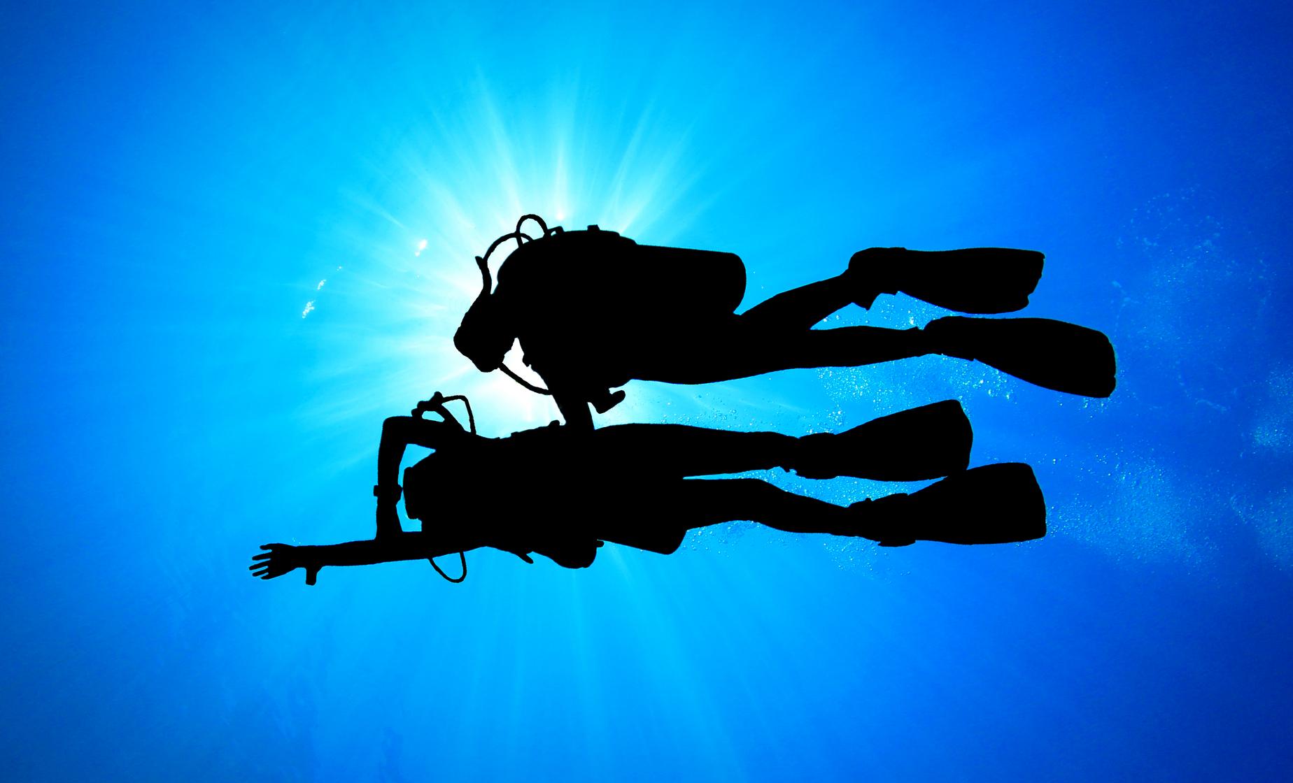 Two Tank Certified Scuba Dive - Image 1