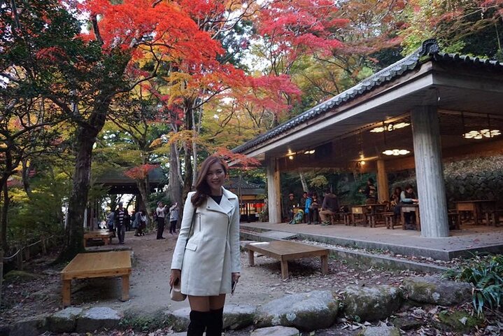 ARIMA ONSEN Custom Tour with Private Car and Driver (Max 9 Pax) - Image 4