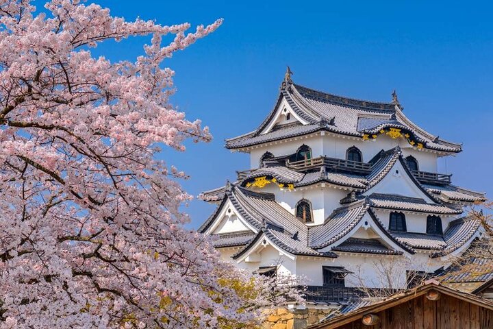 BIWAKO VALLEY Custom Tour with Private Car and Driver (Max 9 Pax) - Image 2