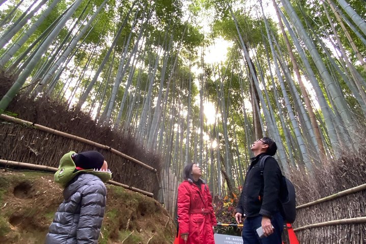 KYOTO-NARA with Private Car & Driver (Max 7 Pax) - Image 2