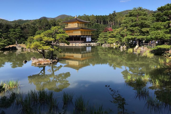 KYOTO-NARA with Private Car & Driver (Max 7 Pax) - Image 5