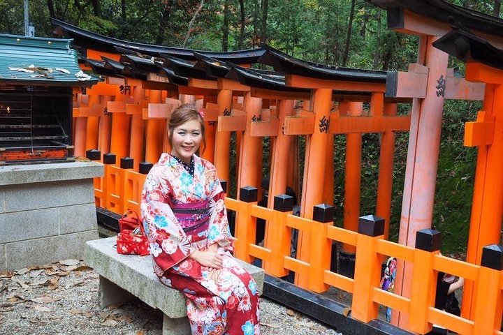 KYOTO-OSAKA Day Tour by Private Car and Driver (Max 4 Pax) - Image 2