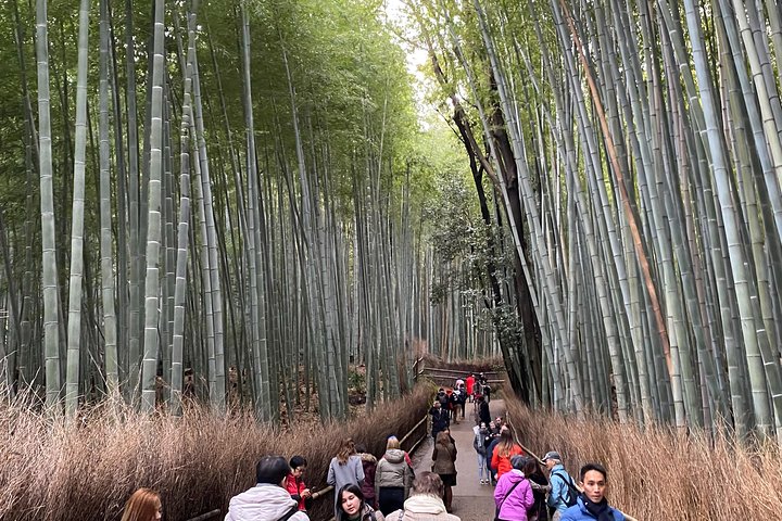 KYOTO-OSAKA Day Tour by Private Car and Driver (Max 4 Pax) - Image 4