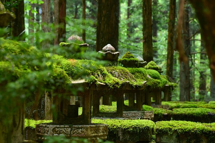 Mt. Koya 8hr Tour from Osaka: English speaking Driver, No Guide - Image 1