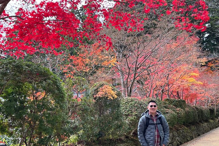 Mt. Koya 8hr Tour from Osaka: English speaking Driver, No Guide - Image 3