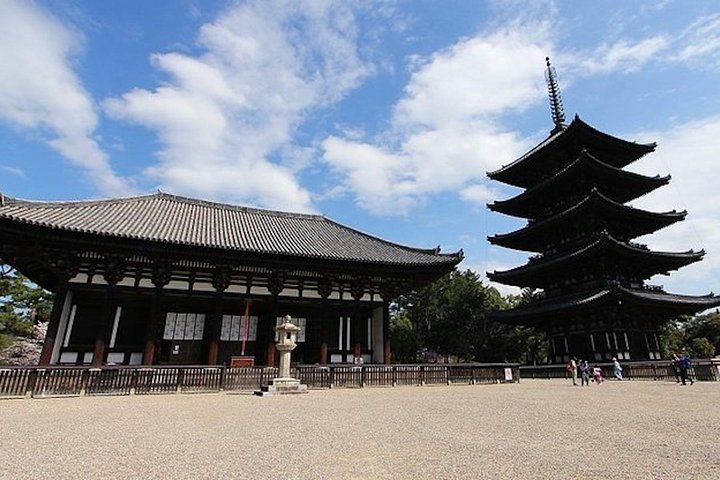 NARA Custom Tour with Private Car and Driver (Max 9 Pax) - Image 4