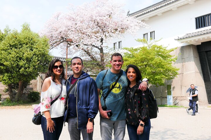 Osaka Castle and the Sumiyoshi Taisha Shrine - Image 1
