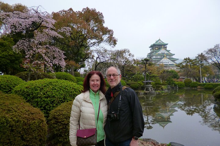 Osaka Castle and the Sumiyoshi Taisha Shrine - Image 2