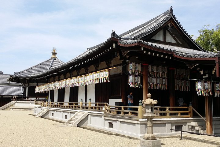 Osaka's Best and Brightest by Private Vehicle - Image 5