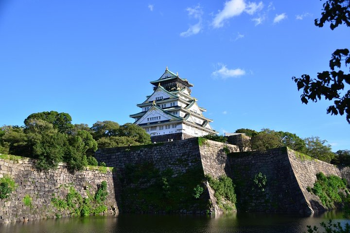 Osaka's Best and Brightest by Private Vehicle - Image 1