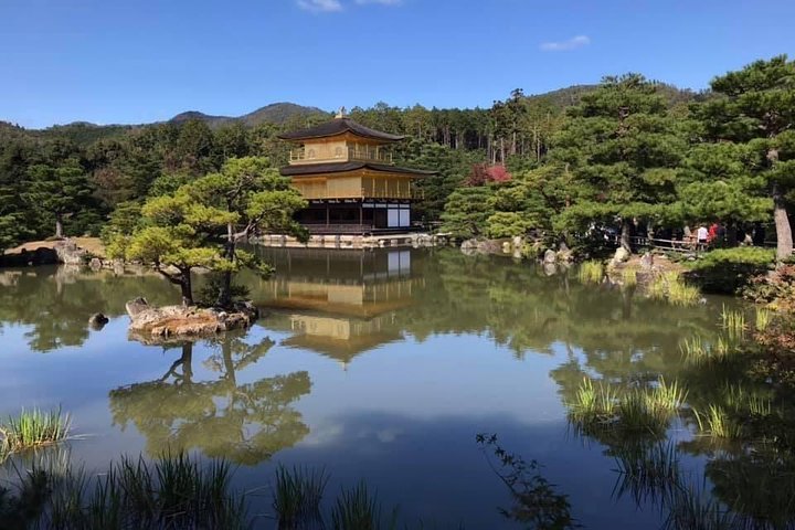 Private & Custom KYOTO-NARA Day Tour by Coaster/Microbus (Max 27 Pax) - Image 3