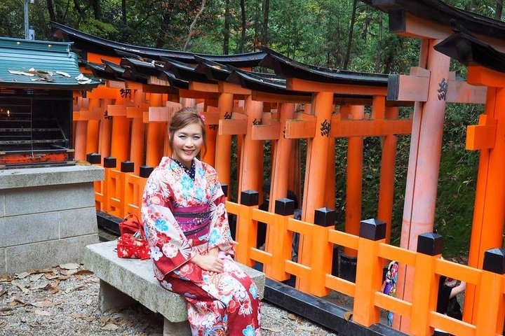Private & Custom KYOTO-OSAKA Day Tour by Toyota COMMUTER (Max 13 Pax) - Image 2