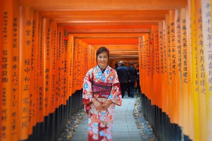 Private & Custom KYOTO-OSAKA Day Tour by Toyota COMMUTER (Max 13 Pax) - Image 5