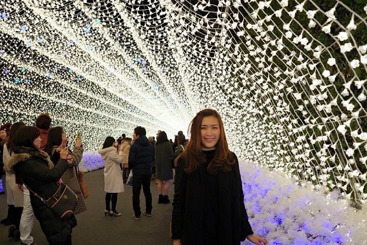 Private & Custom NABANA NO SATO Day Tour by Toyota COMMUTER (Max 13 Pax) - Image 2