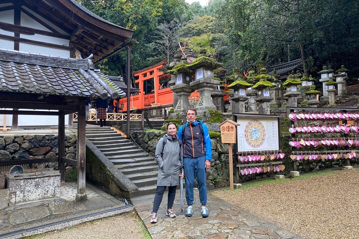 Private Tour to Nara from Osaka with English speaking Driver - Image 2
