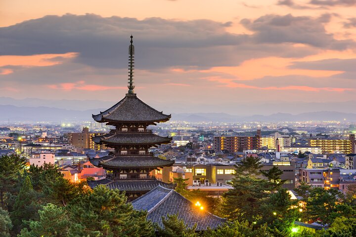Private Tour to Nara from Osaka with English speaking Driver - Image 1