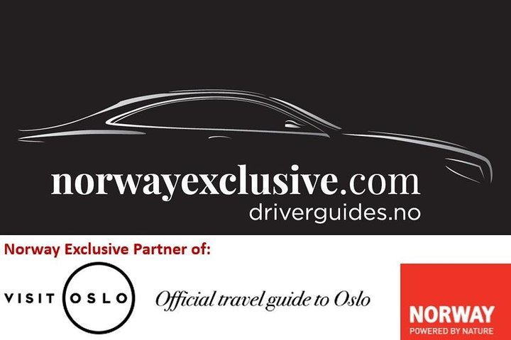 7 hours Private Limousine tour combined Oslo & Tyrifjord including "The Twist" - Image 3