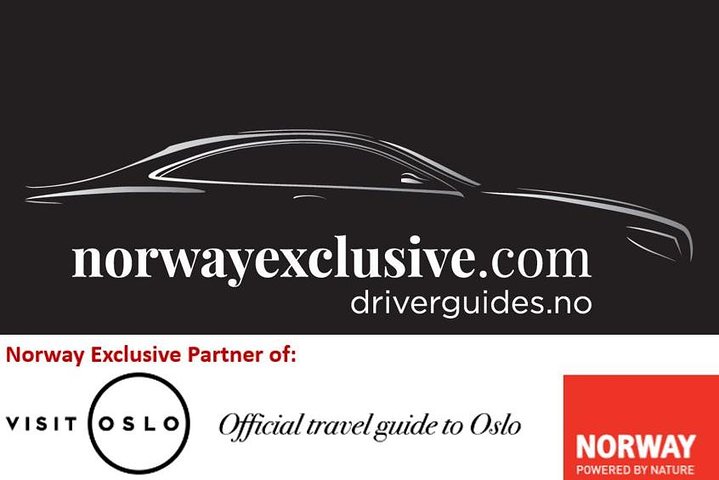 8 hours Full-Day Exclusive Oslo Tailormade Guided Limo Tour - Best Cruise Shore! - Image 2