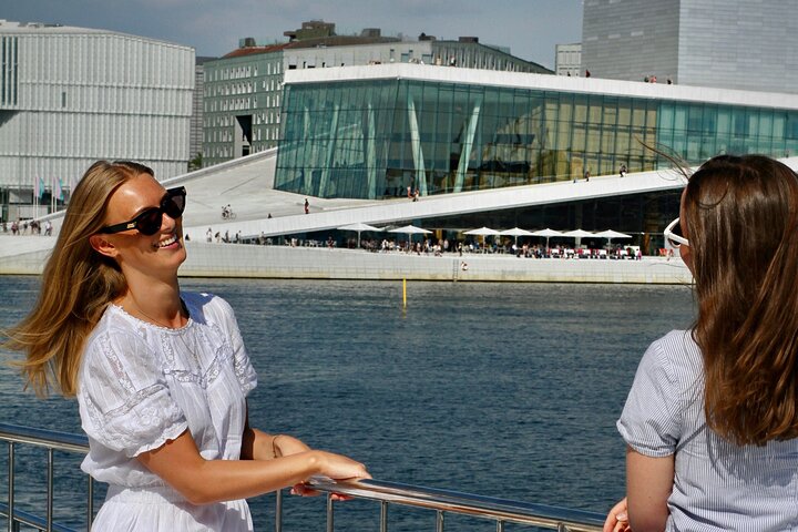 Electric Cruise in Oslofjord with audioguiding - Image 3