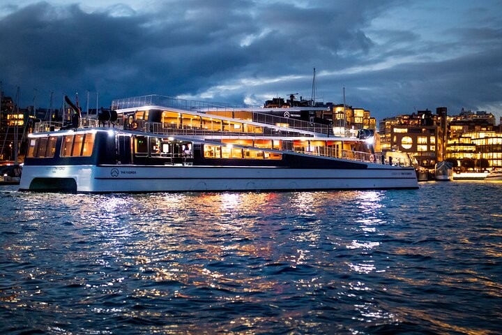 Electric Cruise in Oslofjord with audioguiding - Image 2