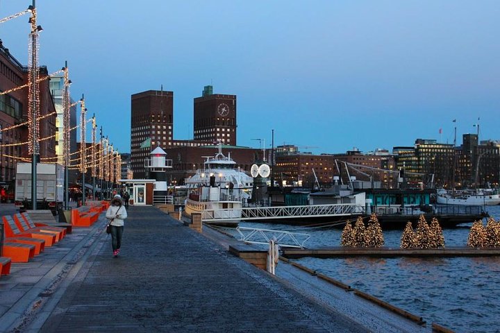 Oslo Shore Excursion: Panorama Tour with Vigeland Sculpture Park & Ski Jump - Image 3