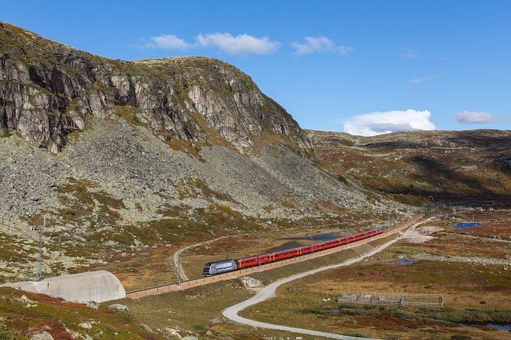 Oslo To Sognefjord Private Full Day Roundtrip Including Flam Railway - Image 5