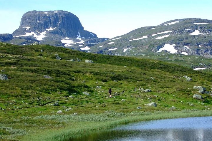 Oslo To Sognefjord Private Full Day Roundtrip Including Flam Railway - Image 4