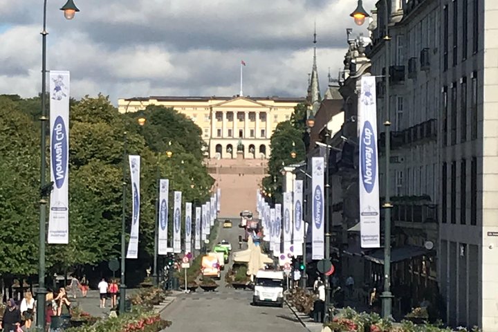 Oslo walk sightseeing tour - Image 2