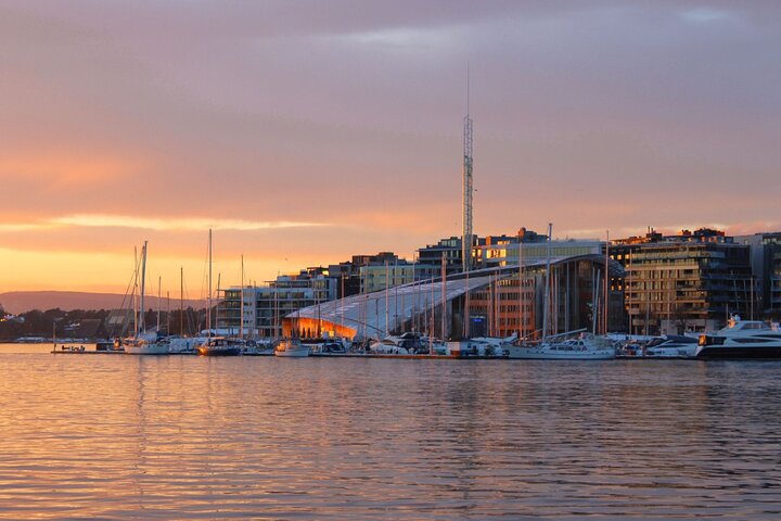 Oslofjord Sightseeing - Image 4