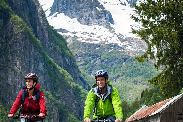 Private Full-Day Round Trip from Oslo to Sognefjord via Flåm Railway - Image 5