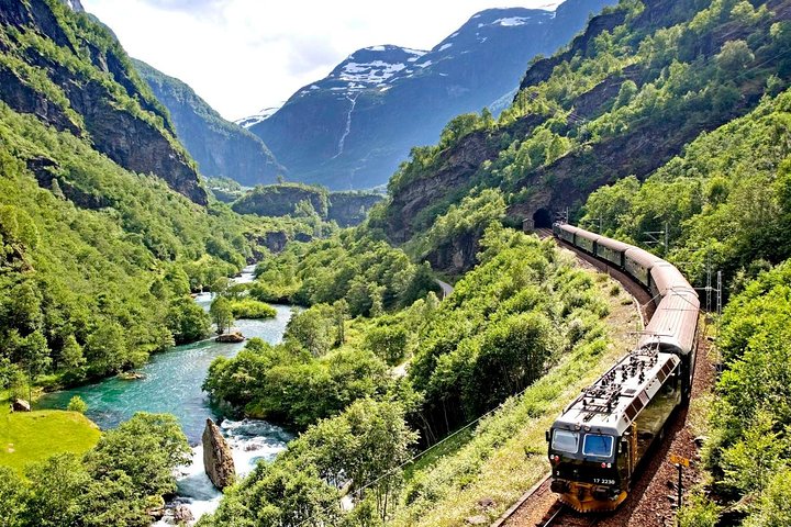 Private Full-Day Round Trip from Oslo to Sognefjord via Flåm Railway - Image 3