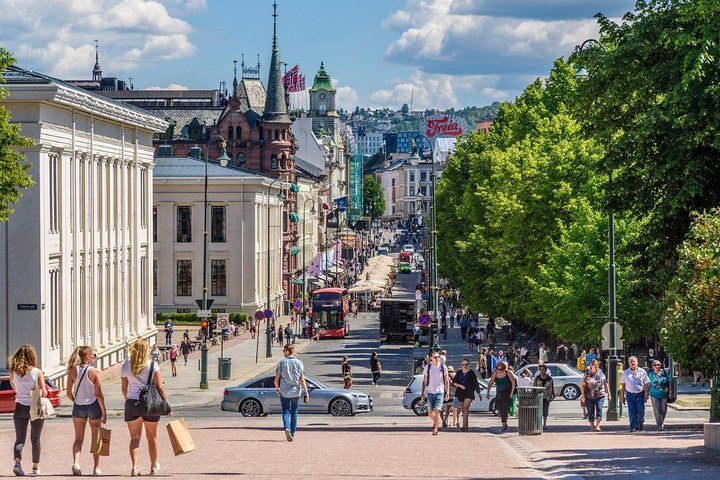 Private Shore Excursion: All-Highlights of Oslo - Image 3