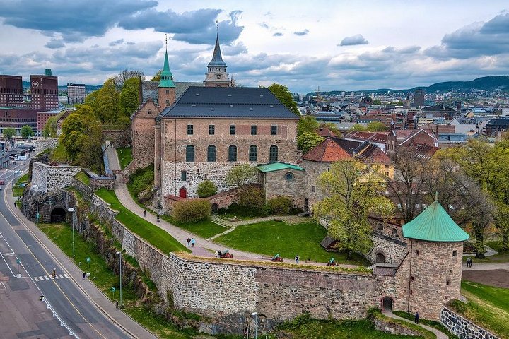 Private Shore Excursion: Oslo City Tour and Viking Ship Museum - Image 3