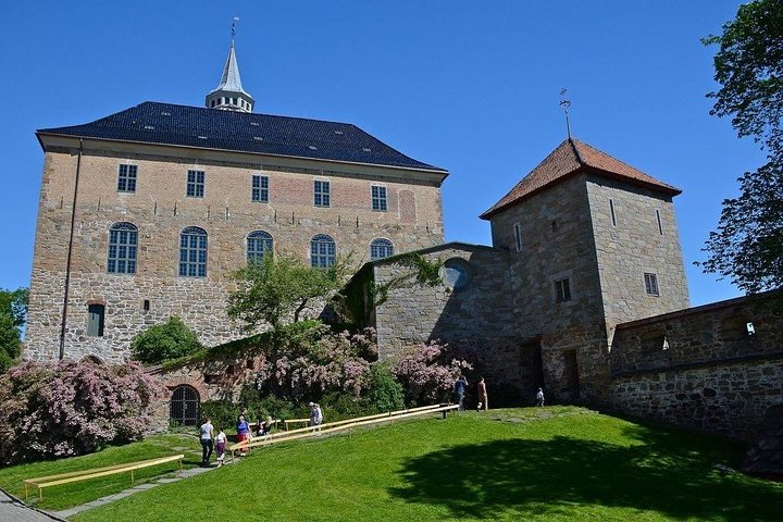 Private Shore Excursion: Oslo Panoramic Tour - Image 2