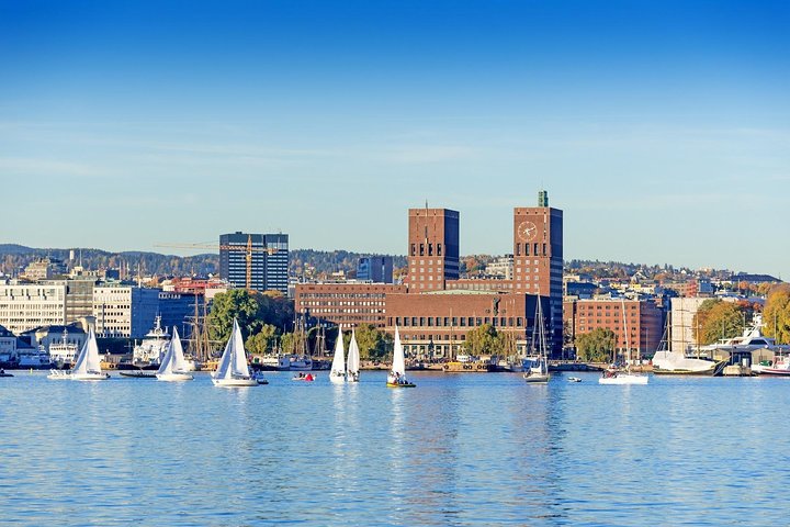 Private Shore Excursion: Oslo Panoramic Tour - Image 1