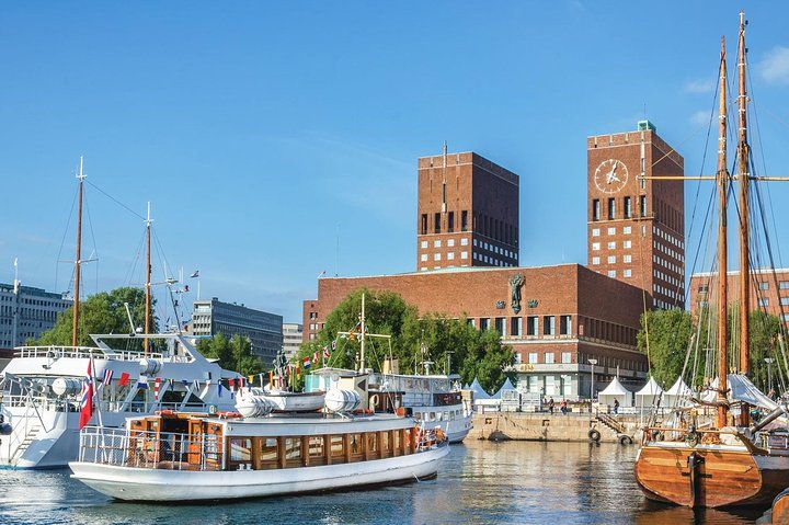 Sightseeing Private Tour of Oslo and Viking Ship Museum - Image 1