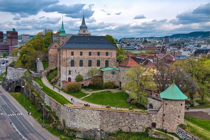 Sightseeing Private Tour of Oslo and Viking Ship Museum - Image 3