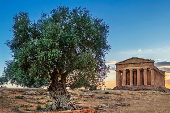  Agrigento; Valley of the Temples, Scala dei Turchi from Palermo, Private Tour - Image 5